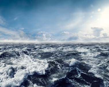 The Sea
